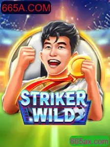 Descubra o Mundo de Emoções e Estratégias em StrikerWILD